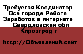 Требуется Коодинатор - Все города Работа » Заработок в интернете   . Свердловская обл.,Кировград г.